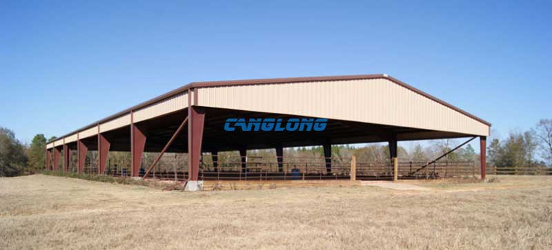 Steel Structure Livestock Building