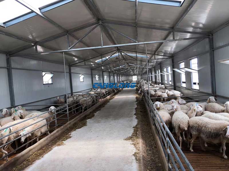 Steel Livestock Building