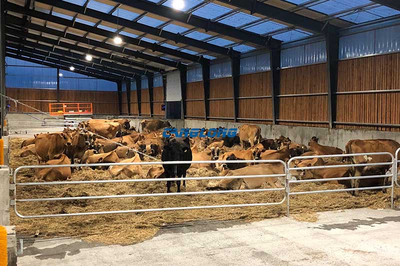 Cowshed