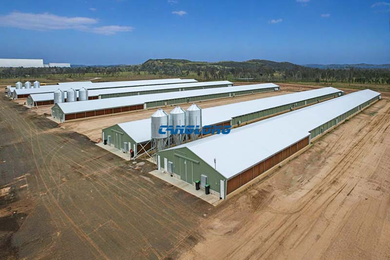 Pakistan Broiler Farm