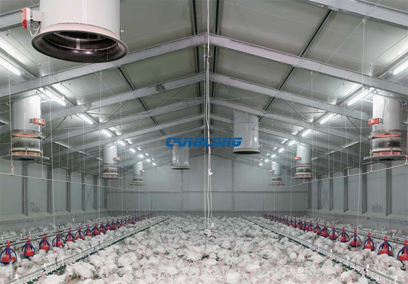 Pakistan Broiler Farm