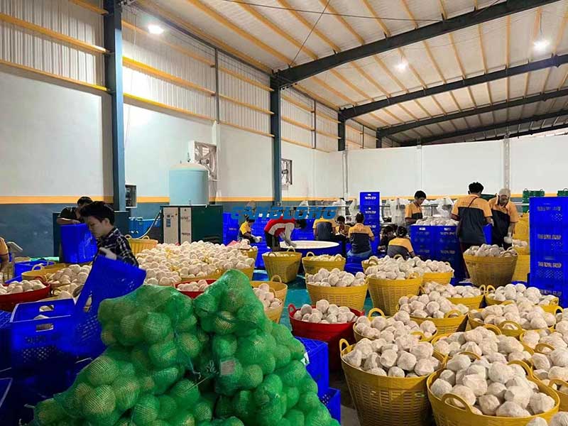 Thailand Coconut Factory
