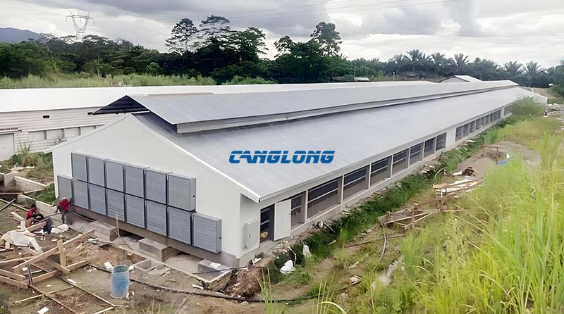 Steel Structure Chicken House