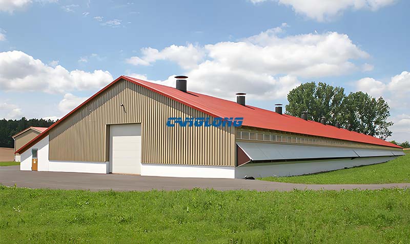 Steel Structure Chicken House