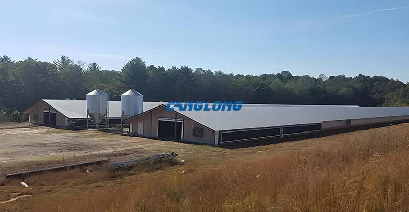 Steel Structure Chicken House
