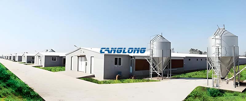 Steel Structure Chicken House
