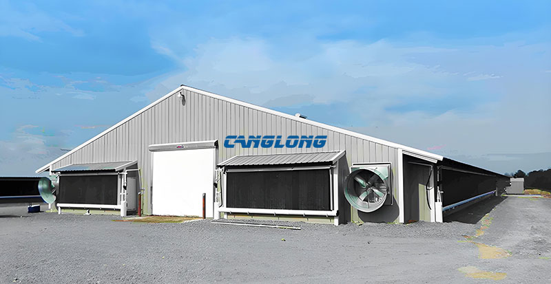 Steel Structure Chicken Shed