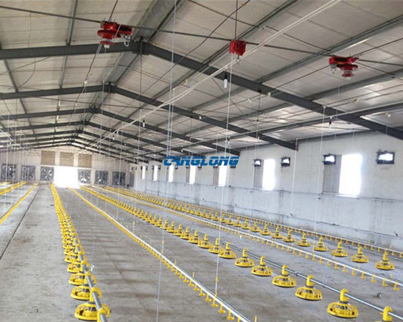 Steel Structure Chicken Shed