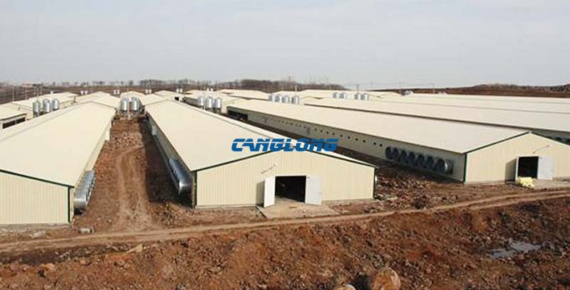 Steel Structure Chicken House