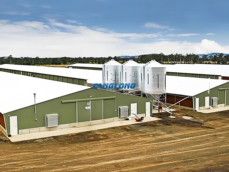 Steel Structure Chicken House