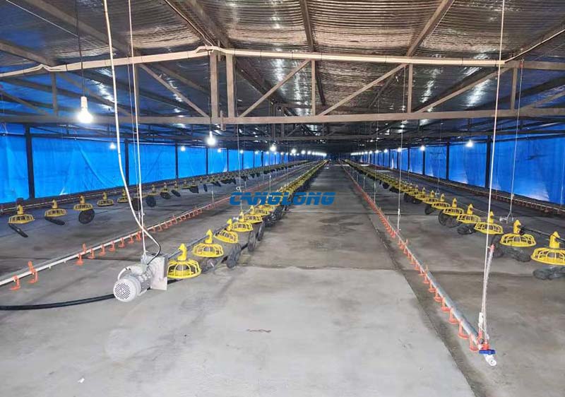 Zimbabwe Chicken Coop