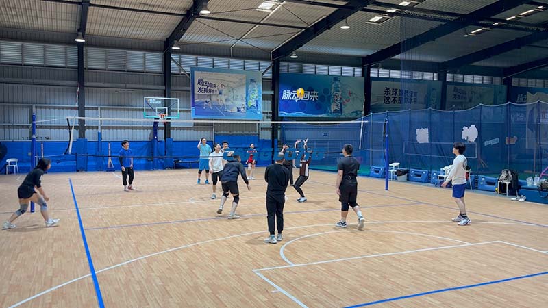 Steel Structure Volleyball Arena