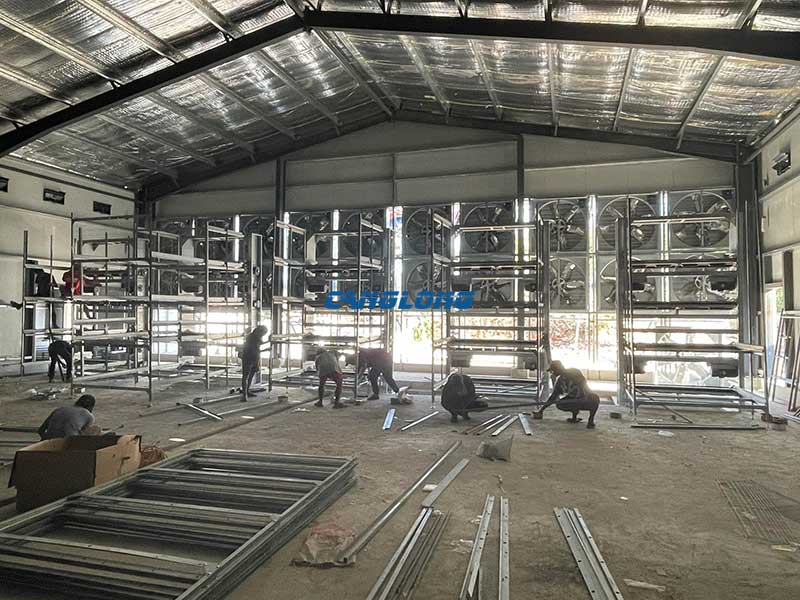Philippines Chicken Shed