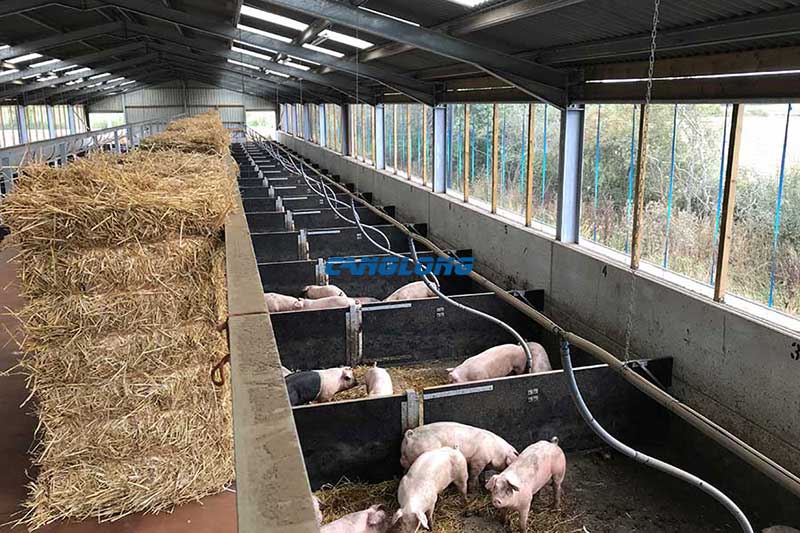 Steel Structure Pig House