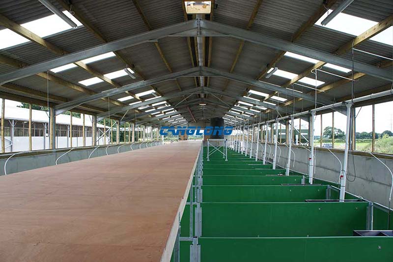 Steel Structure Pig House