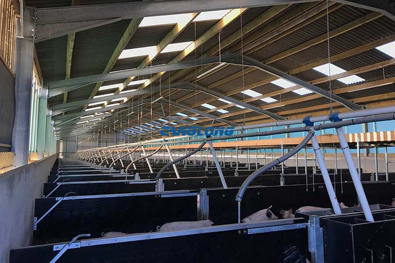 Steel Structure Pig House