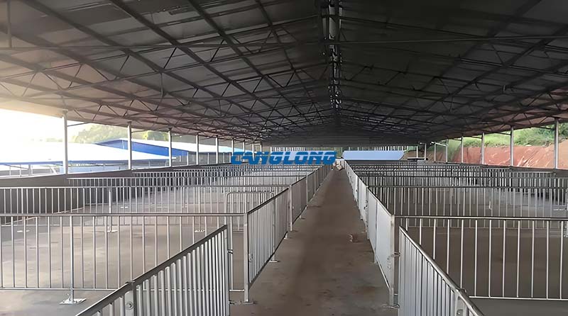Steel Structure Pig Shed