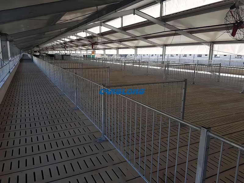 Steel Structure Pig House