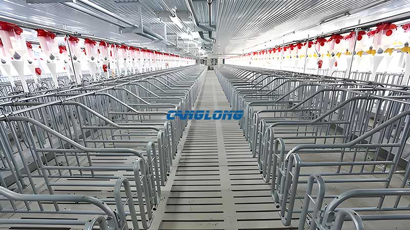 Steel Structure Pig House