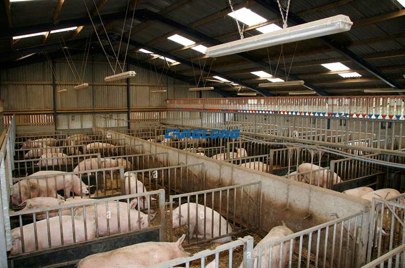 Steel Structure Pig House