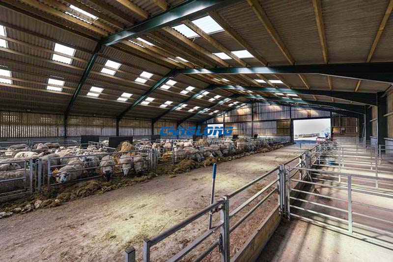 Steel Structure Sheep House