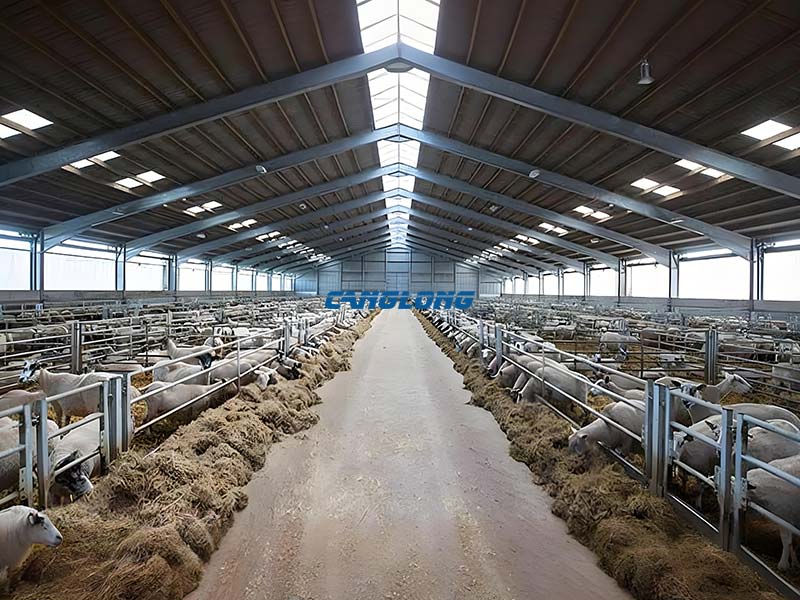 Steel Structure Sheep House