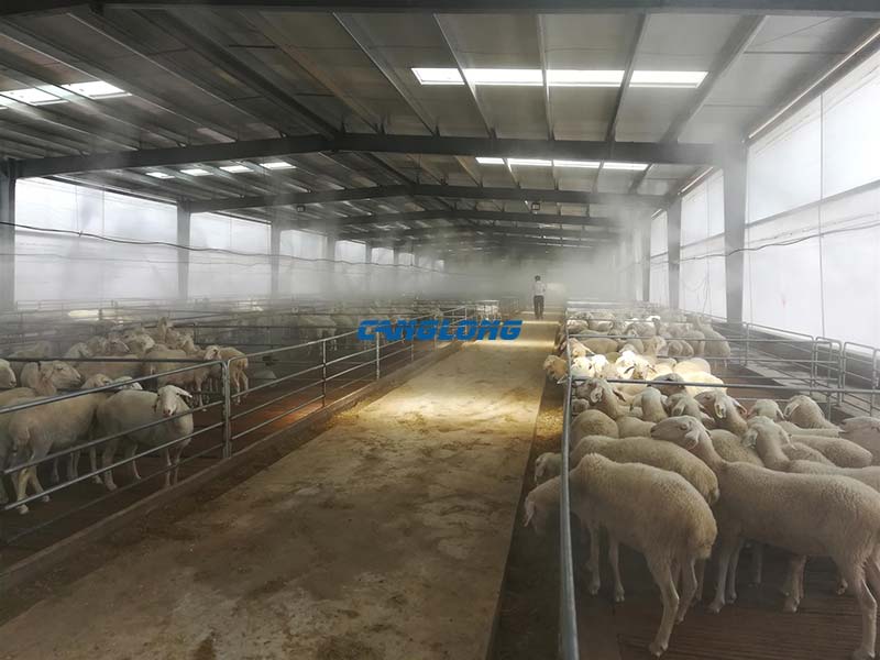 steel-structured sheep barn