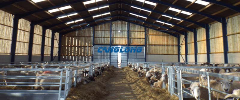 steel-structured sheep barn