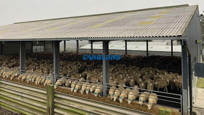 Steel Structure Sheep House