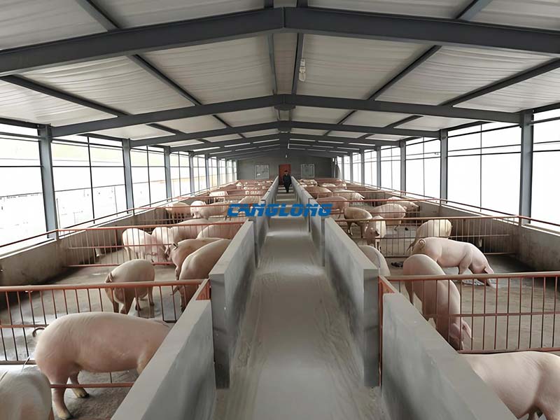 Steel Structure Pig House