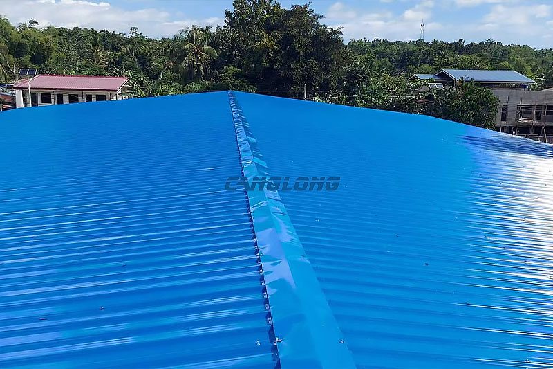 Completed insulated color-steel roof of the Cebu cold room shed seen from above, with the double-slope ridge running the length of the 42 m building