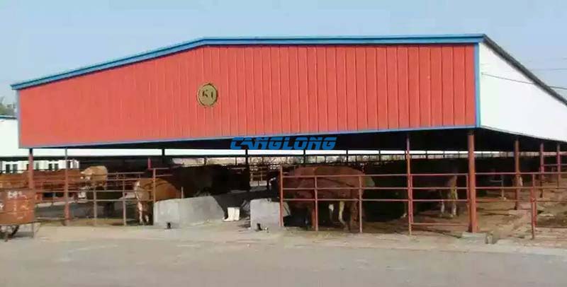 Steel Structure Cattle Shed