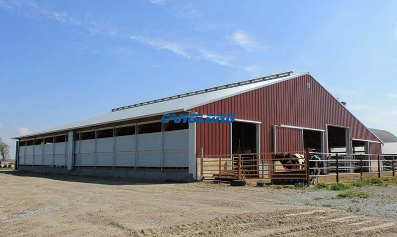 Steel Structure Cattle Shed