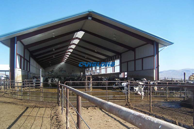 Cow Shed