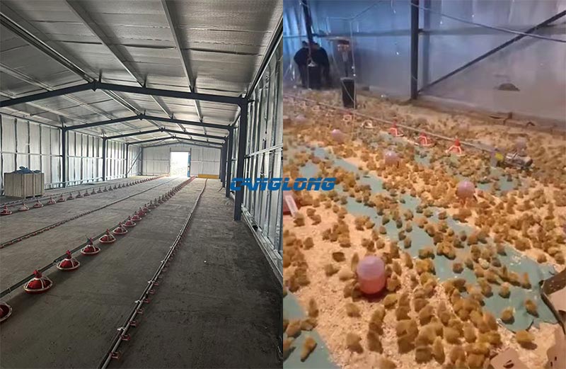 Albania Chicken House